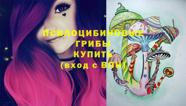 2c-b Белокуриха