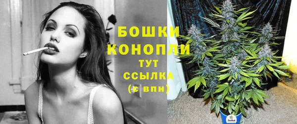 2c-b Белокуриха