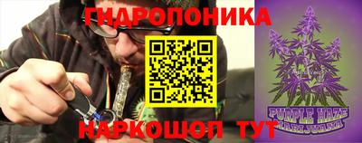 прущие крисы Апшеронск