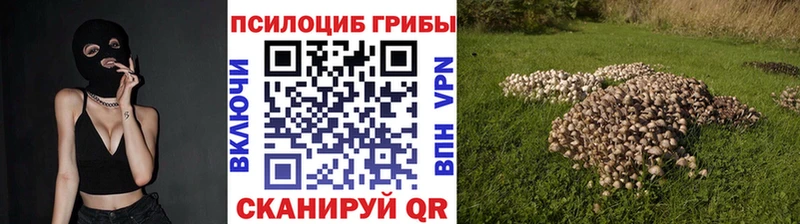 Галлюциногенные грибы Cubensis  ОМГ ОМГ вход  Воркута 