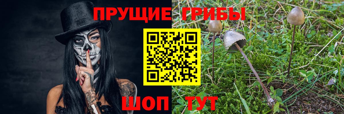 Галлюциногенные грибы мицелий  Воркута 