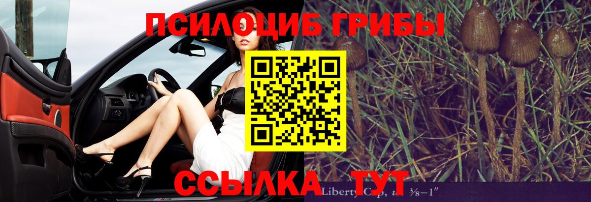 Псилоцибиновые грибы Magic Shrooms  Вход с VPN  Воркута 